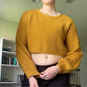 Molly Green Yellow Cropped Sweater
